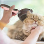 Grooming & Cat Cleaning