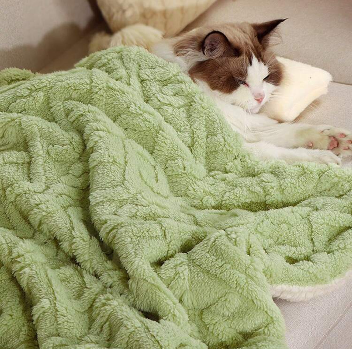 Cat Warm Blanket