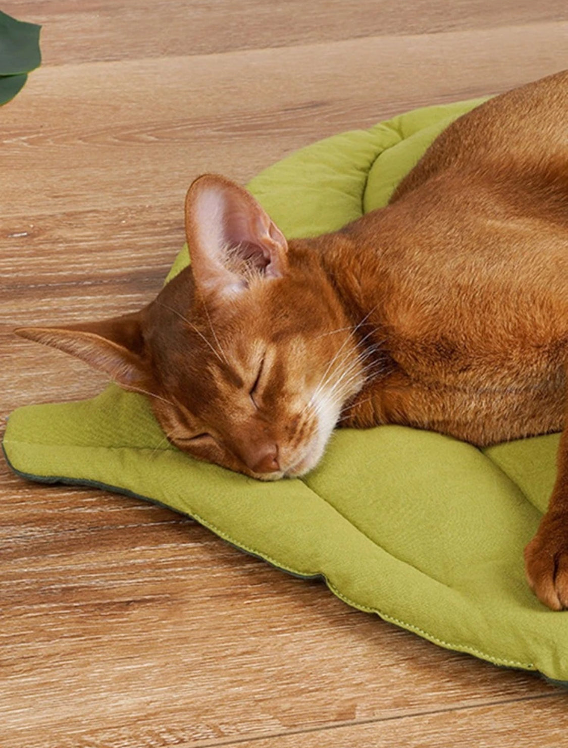 Relaxing Leaf-Shaped Cat Puff