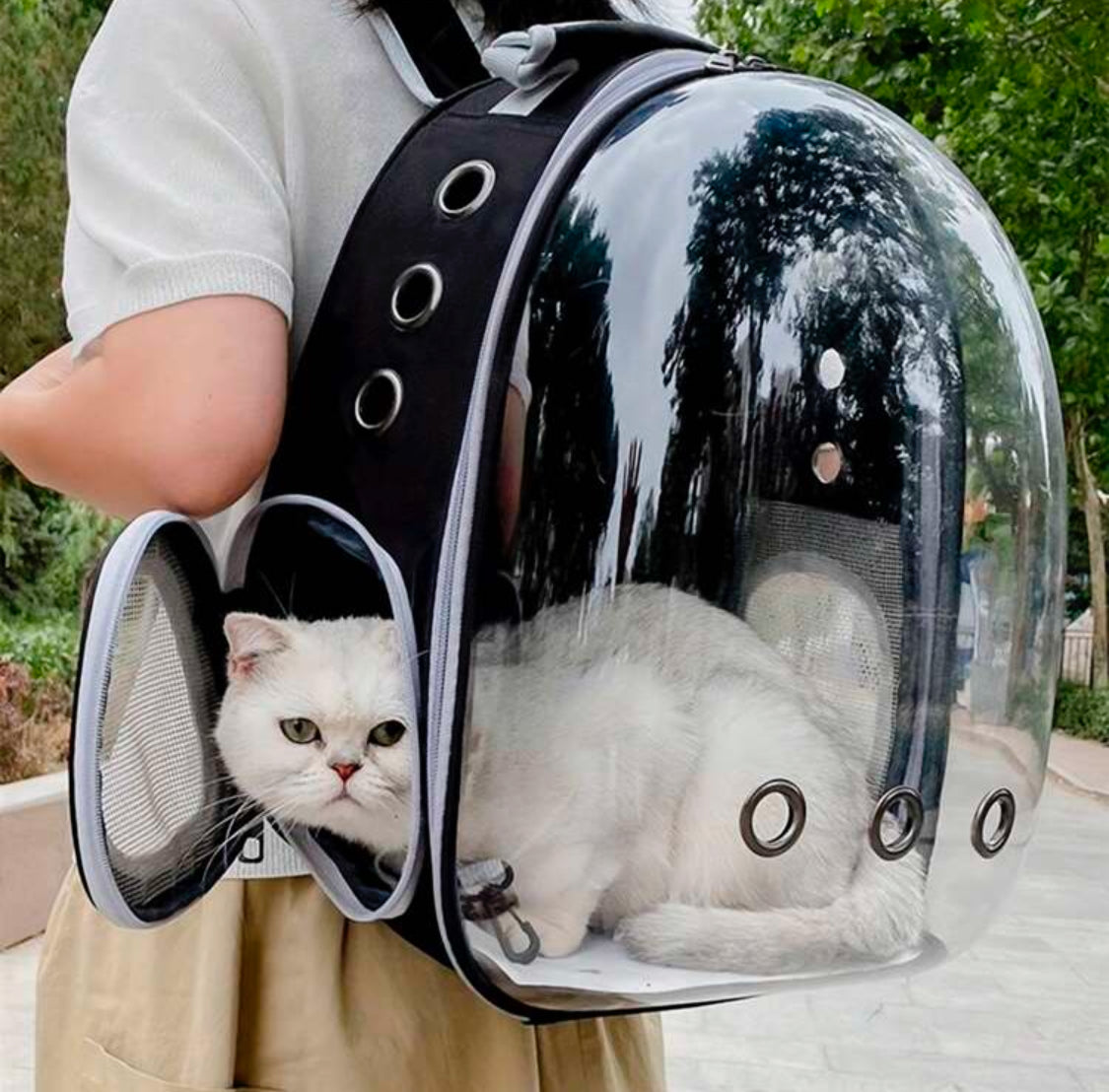 Travel Backpack with Capsule for Cats