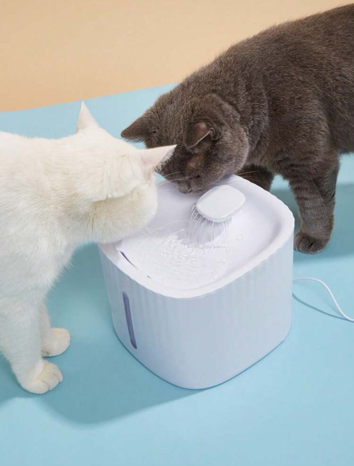 Cat Water Fountain