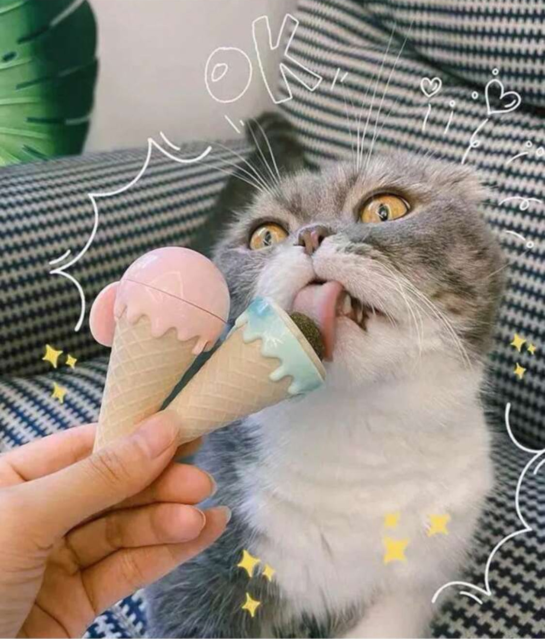 Ice Cream Toy with Catnip