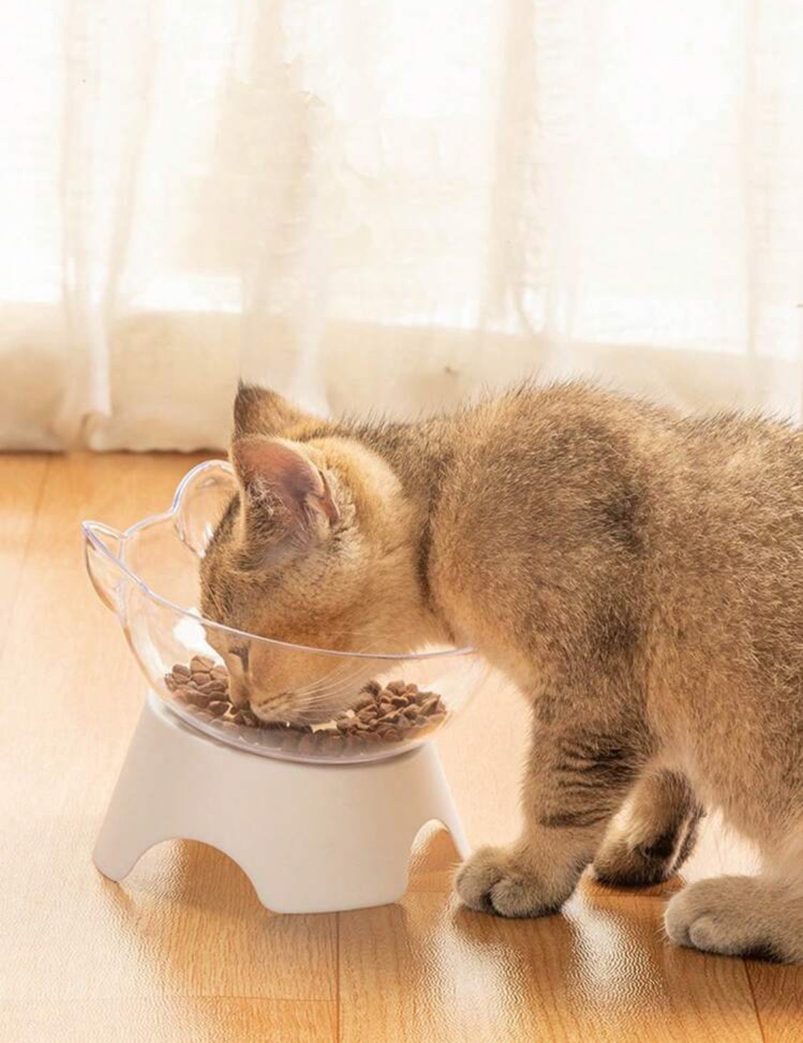 Anti-Vomiting Orthopedic Cat Bowl