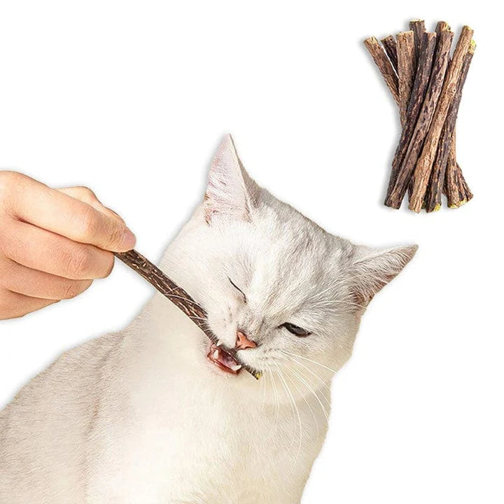 Catnip Chew Toy Sticks